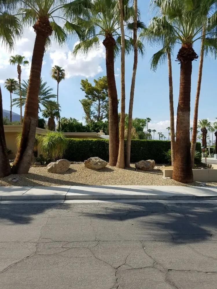 Custom landscape design near you across Encinitas, CA - Escala Scapes