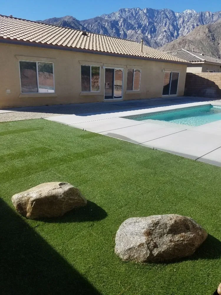 Professional yard cleanup service for year-round maintenance across Encinitas, CA - Escala Scapes