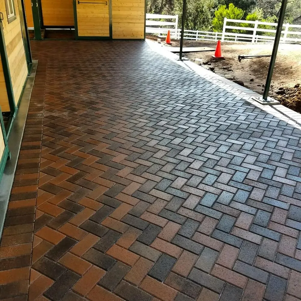 Top-rated lawn mowing service in Encinitas, CA by Escala Scapes