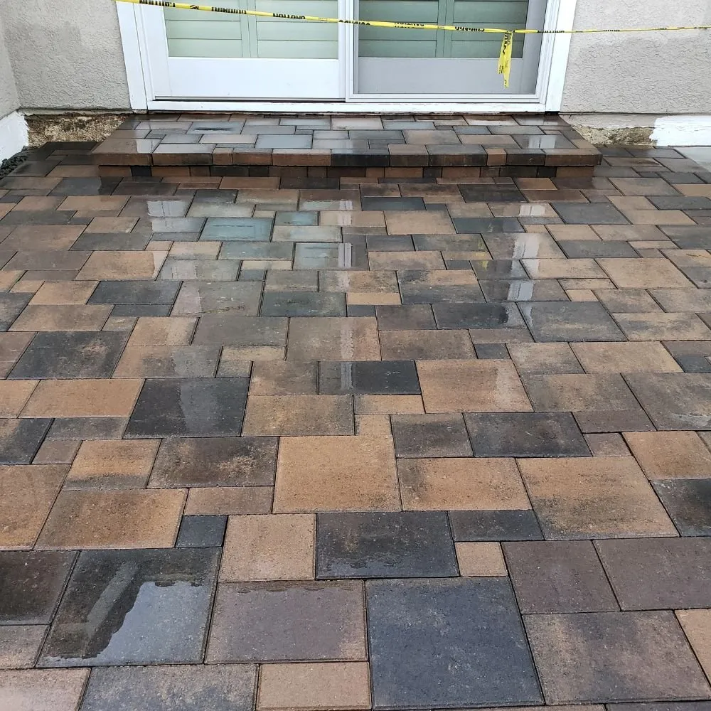 Trusted yard maintenance in Encinitas, CA by Escala Scapes