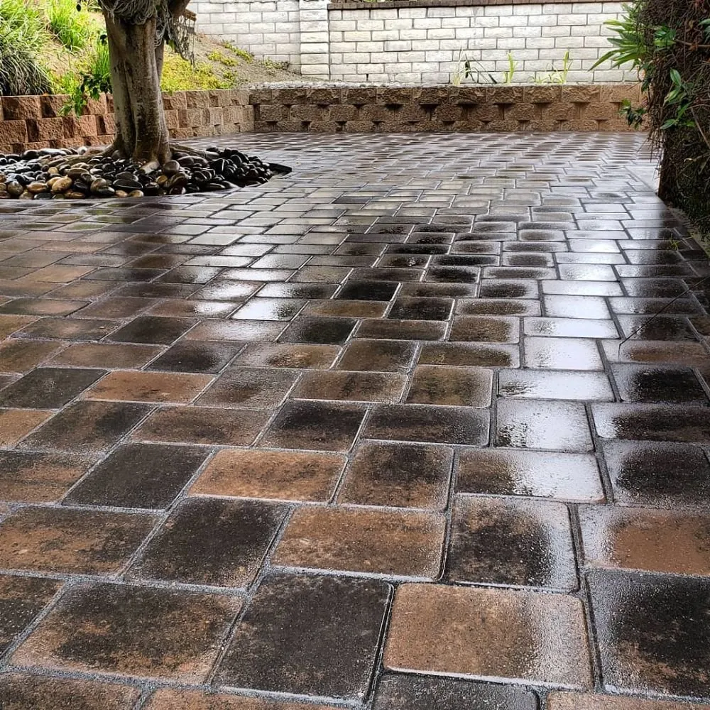 Affordable landscaping services in Encinitas, CA by Escala Scapes