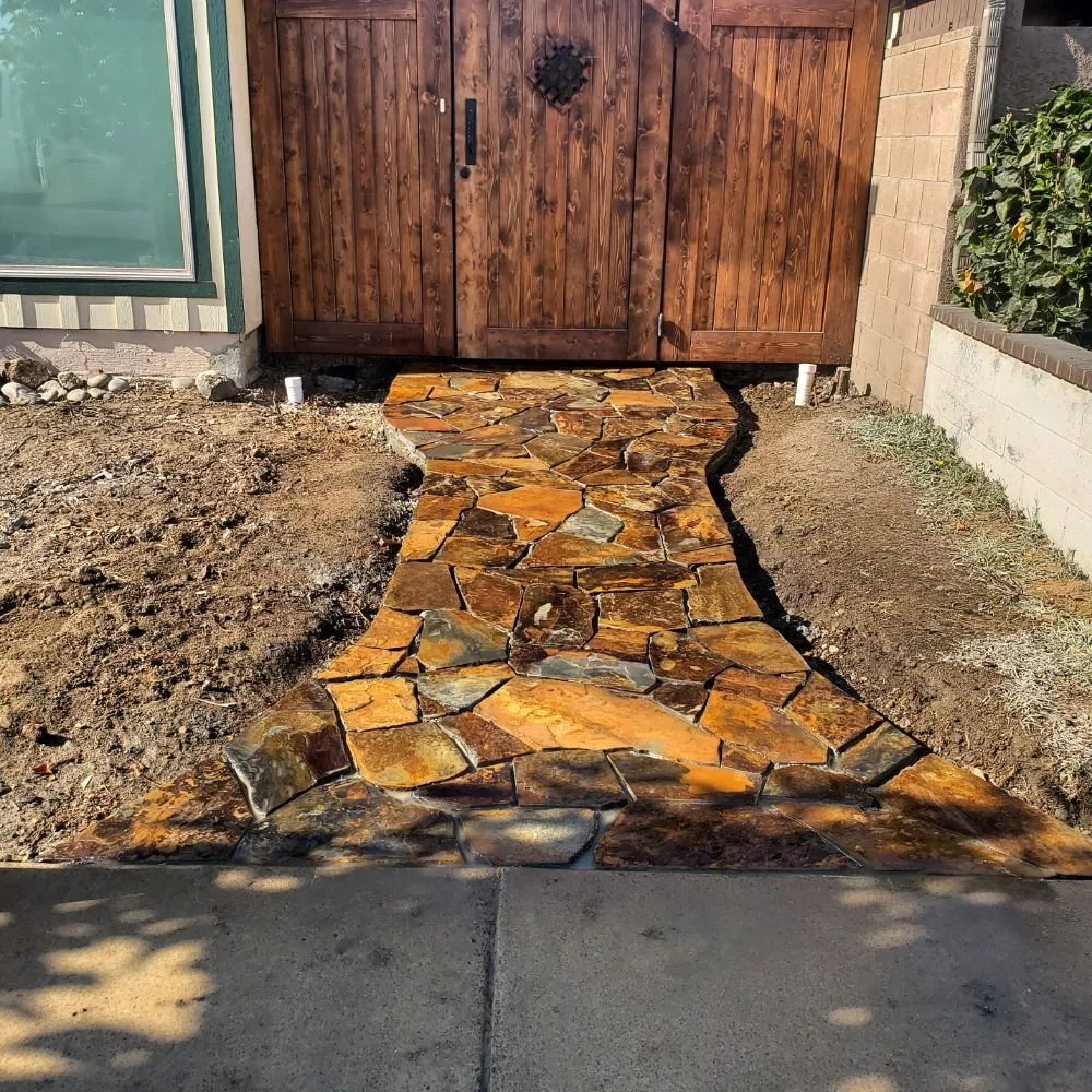 Top-rated yard cleanup service in Encinitas, CA - Escala Scapes