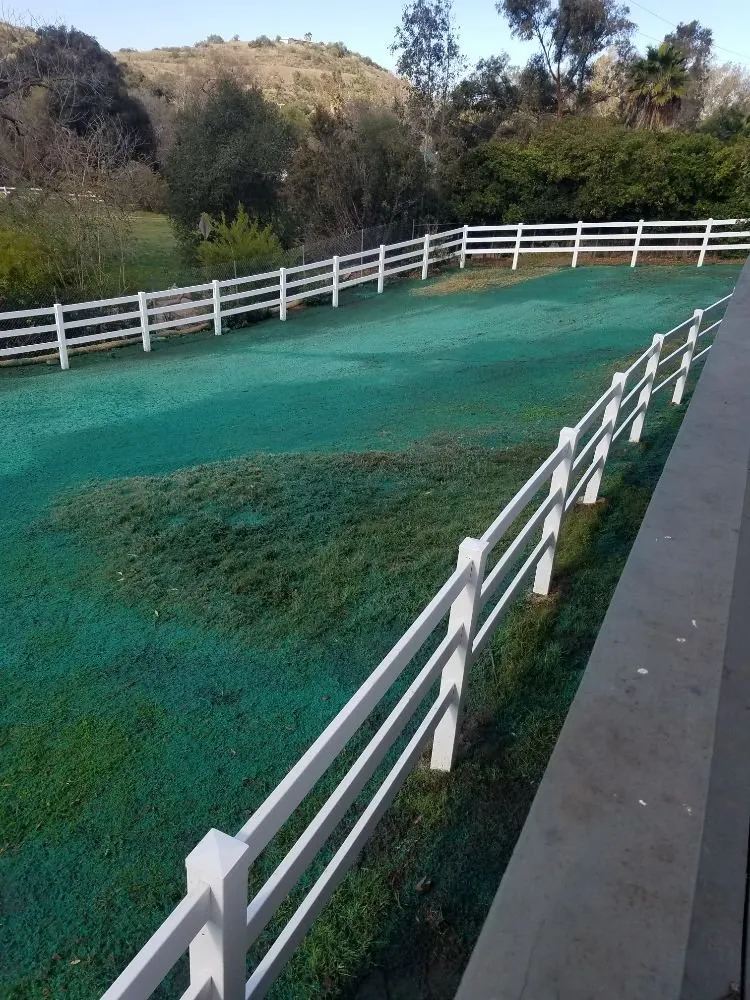 Custom yard maintenance experts serving Encinitas, CA - Escala Scapes