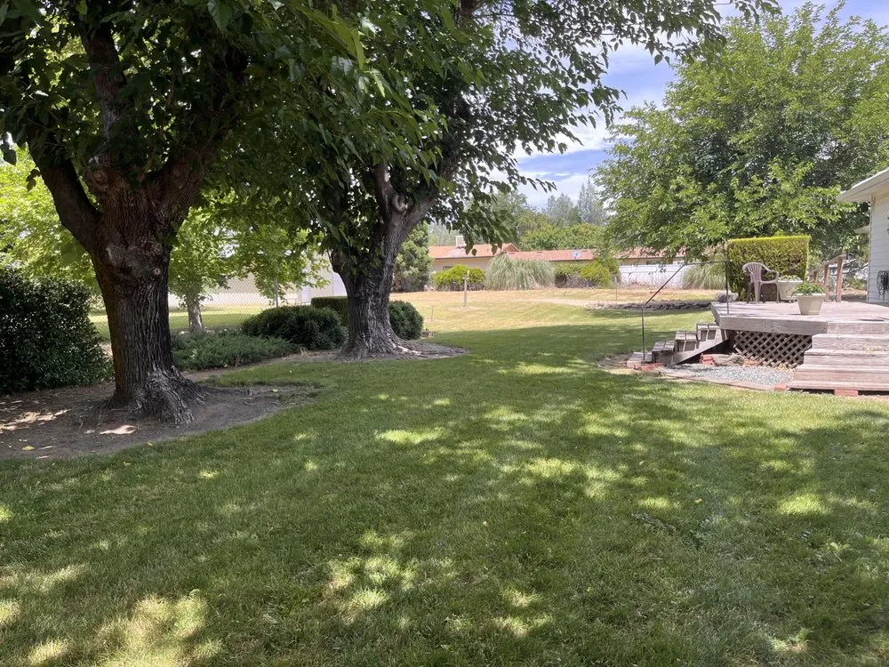 Custom lawn mowing service experts serving Palo Cedro, CA - Escalante Landscaping Maintenance