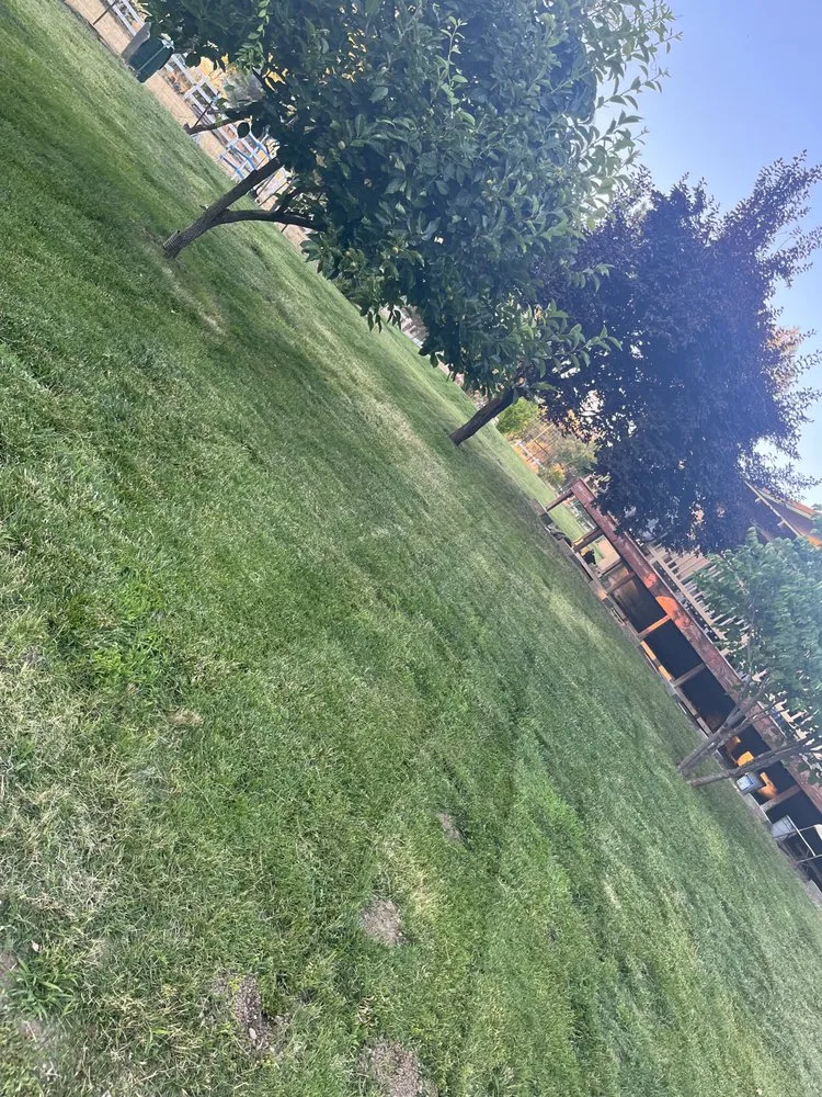 Trusted lawn care service experts serving Palo Cedro, CA - Escalante Landscaping Maintenance