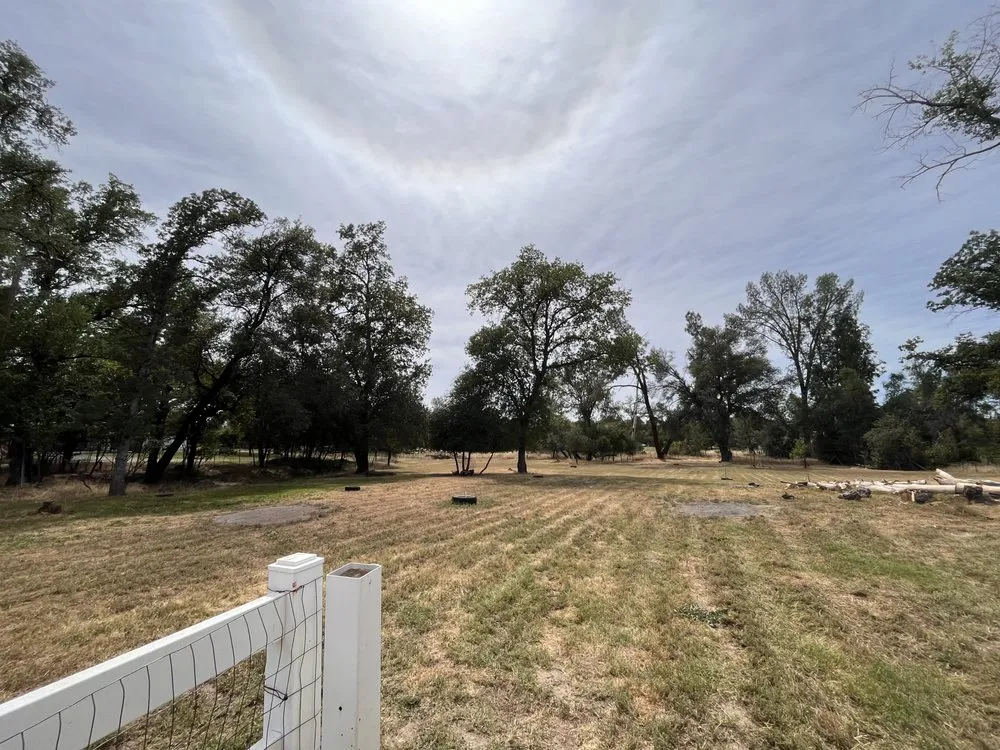 Trusted lawn care service in Palo Cedro, CA by Escalante Landscaping Maintenance