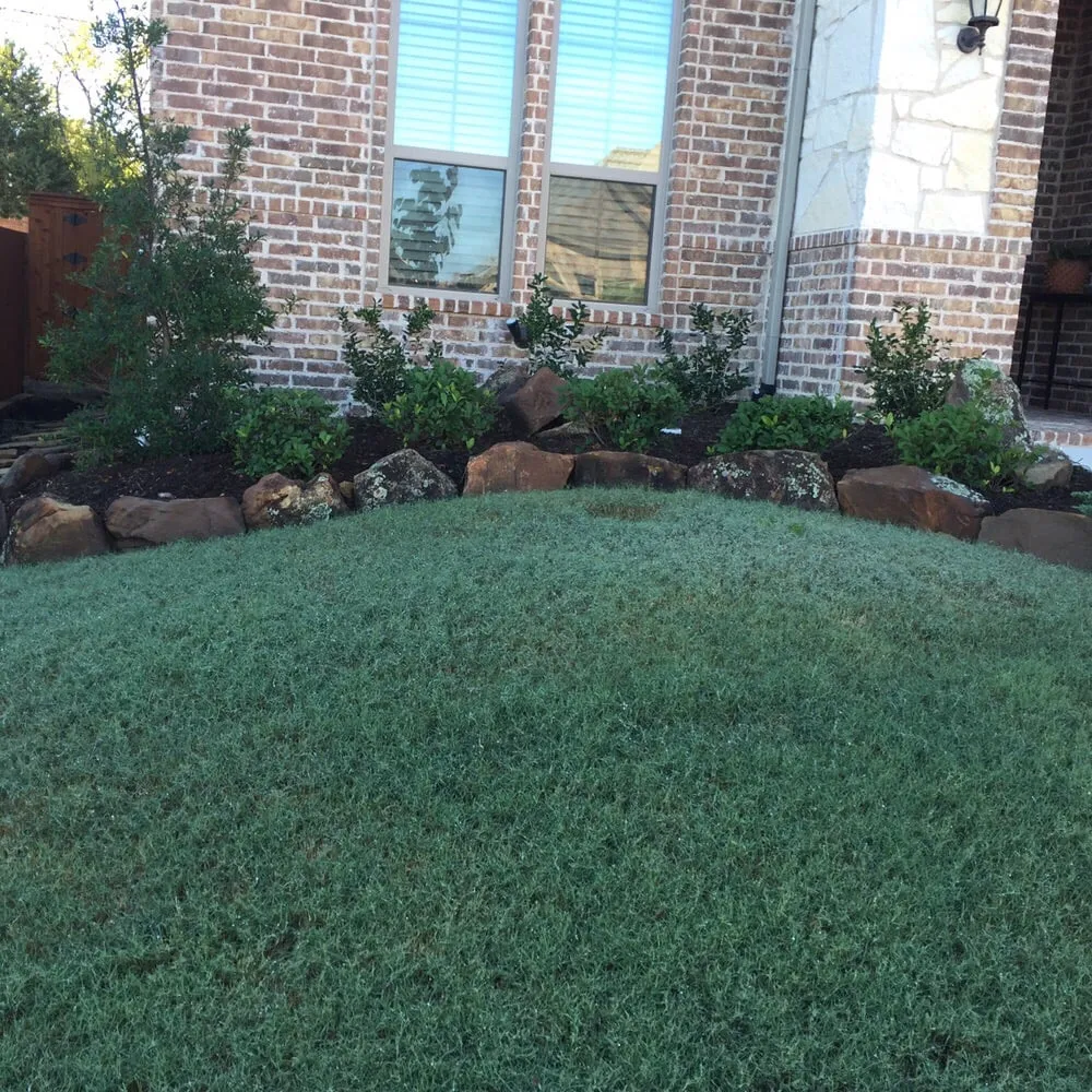 Professional lawn mowing service experts serving Plano, TX - Escalante Lawn and Landscape