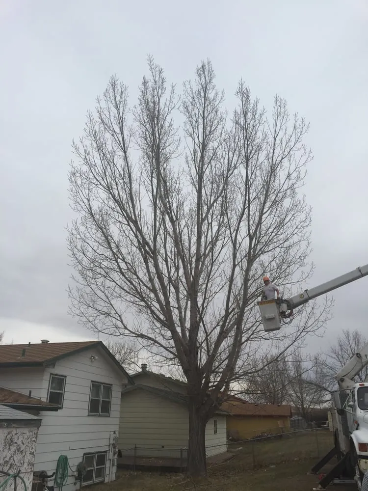 Custom outdoor landscaping in Rapid City, SD - Escalante Tree And Lawn Care