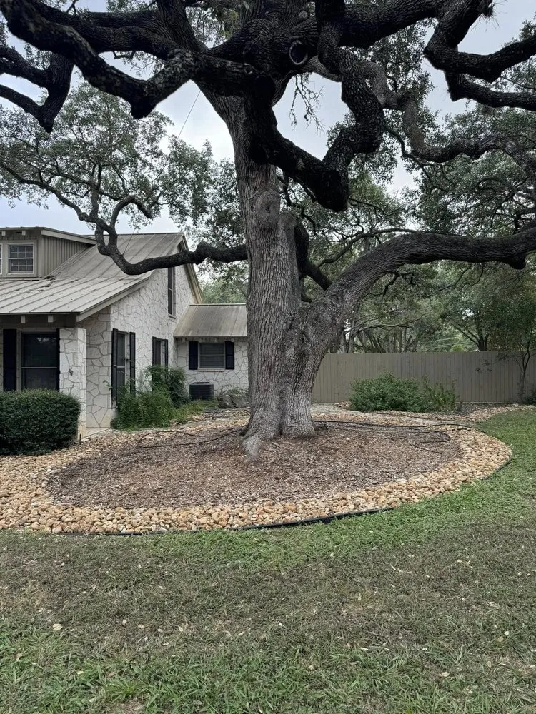 Trusted lawn care service for year-round maintenance in Hutto, TX by Escalera Landscaping
