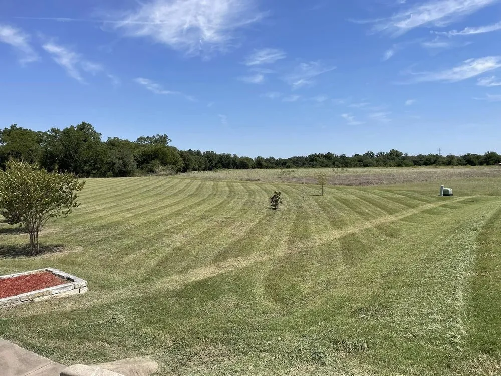 Reliable residential landscaping in Hutto, TX by Escalera Landscaping