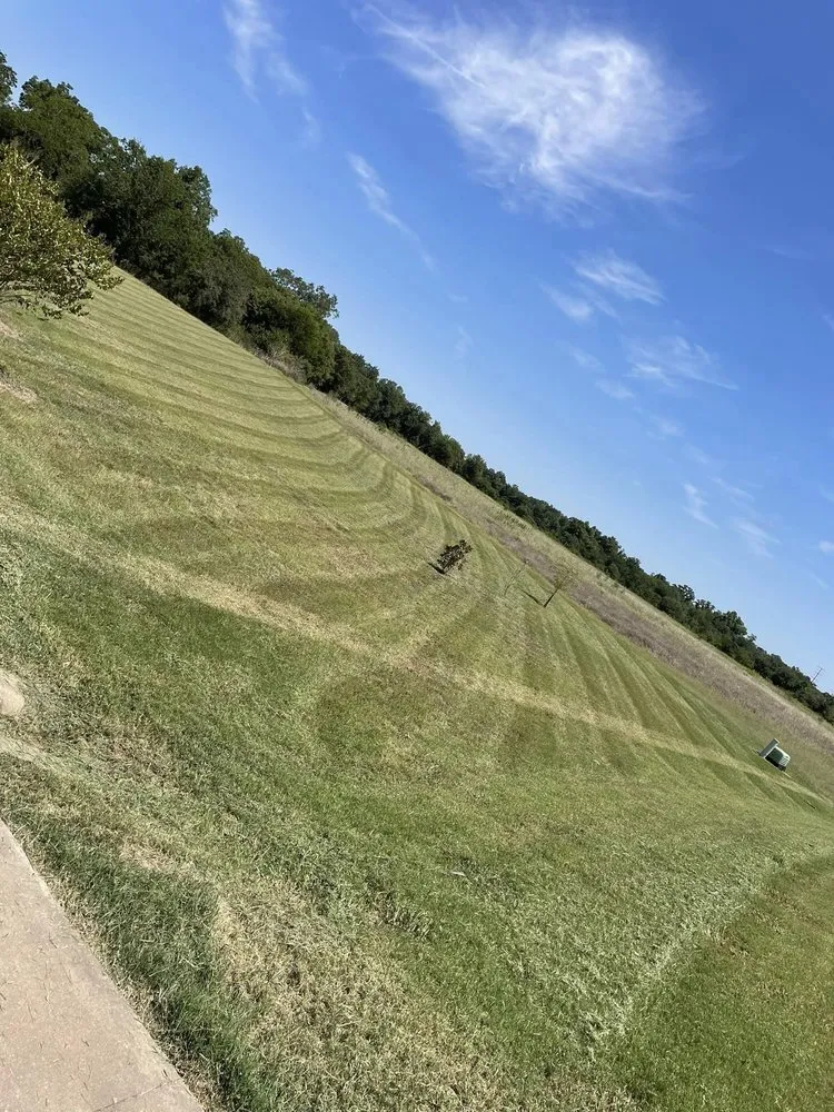 Professional lawn care service in Hutto, TX by Escalera Landscaping