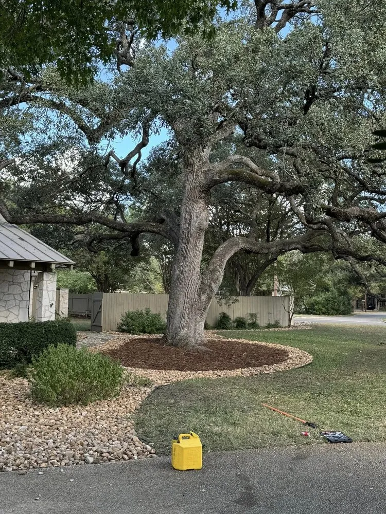 Trusted lawn care service experts serving Hutto, TX - Escalera Landscaping