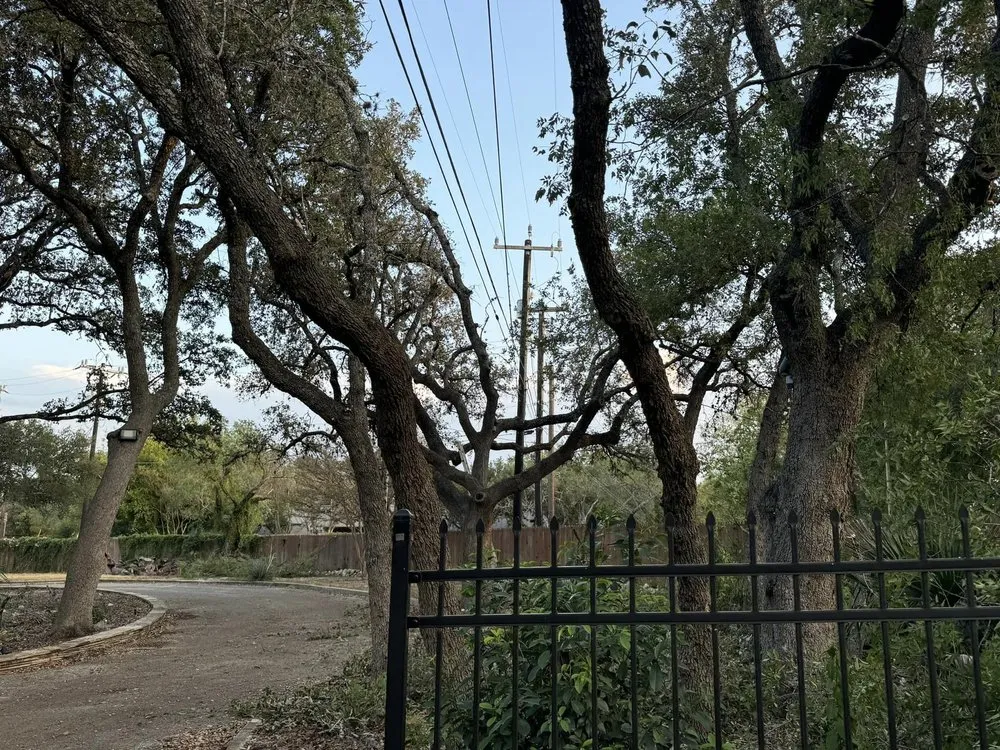 Professional landscape design for residential properties across Hutto, TX - Escalera Landscaping