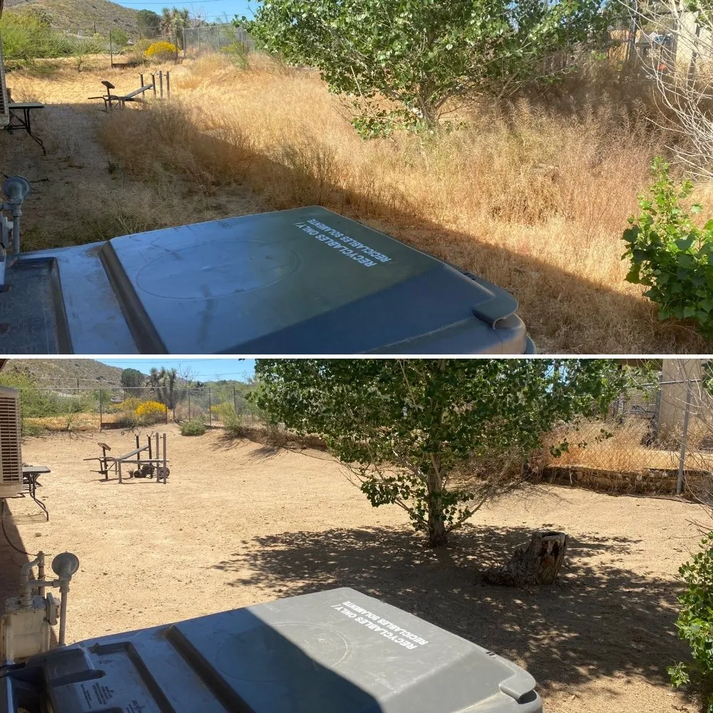 Expert residential landscaping for homes across Yucca Valley, CA - Escalera's Yard Work