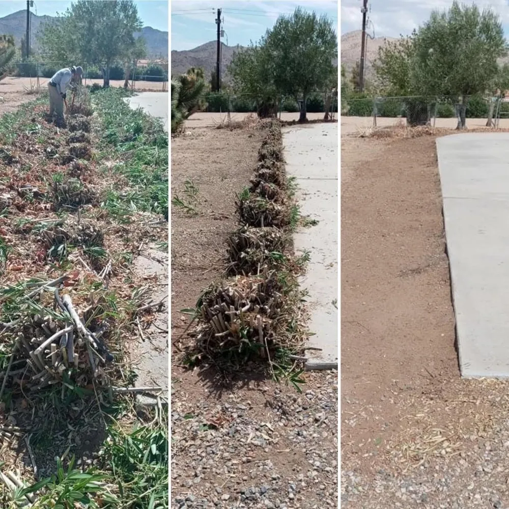 Expert yard maintenance for homes across Yucca Valley, CA - Escalera's Yard Work