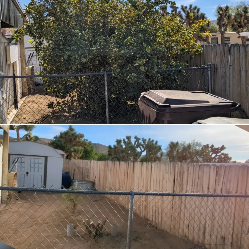 Trusted yard cleanup service for outdoor upgrades across Yucca Valley, CA - Escalera's Yard Work