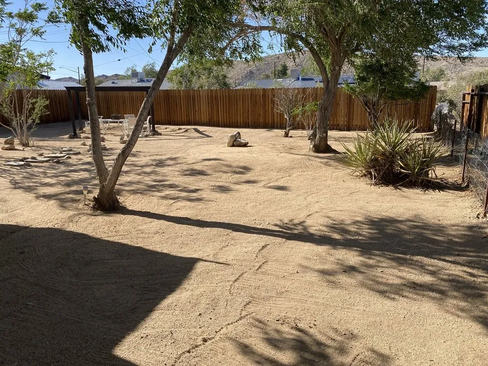 Trusted yard cleanup service for year-round maintenance in Yucca Valley, CA by Escalera's Yard Work