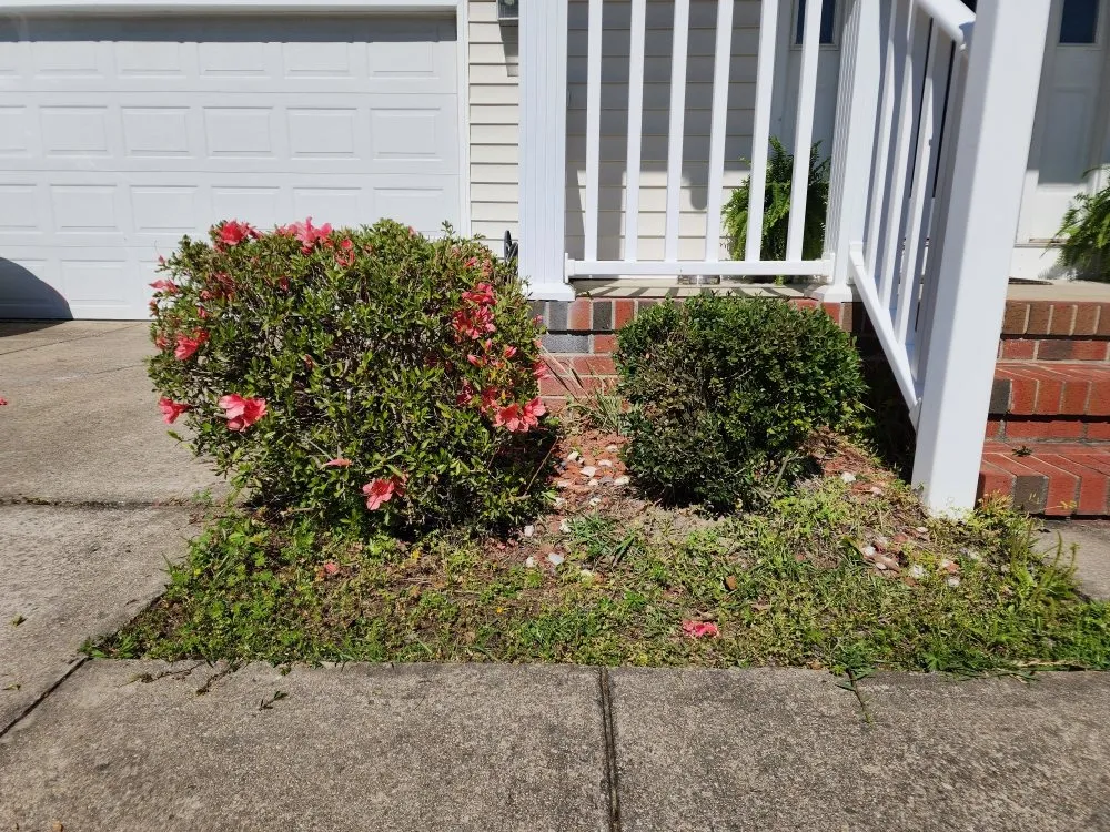 Expert yard cleanup service for beautiful yards across Coats, NC - Escamilla Especial Landscaping