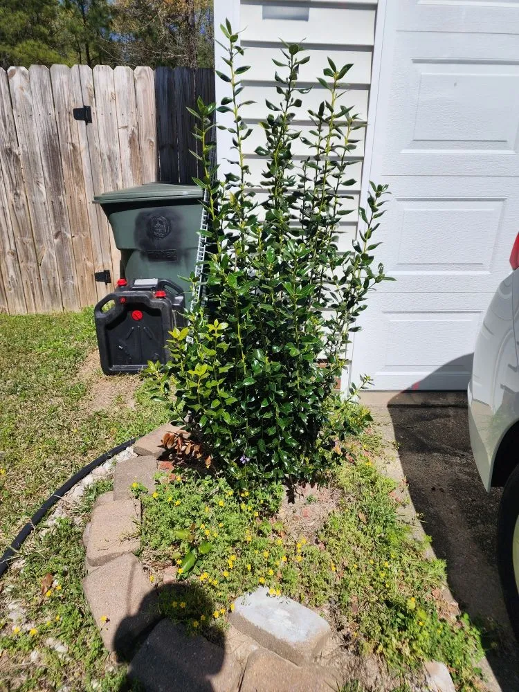 Reliable garden landscaping in Coats, NC - Escamilla Especial Landscaping