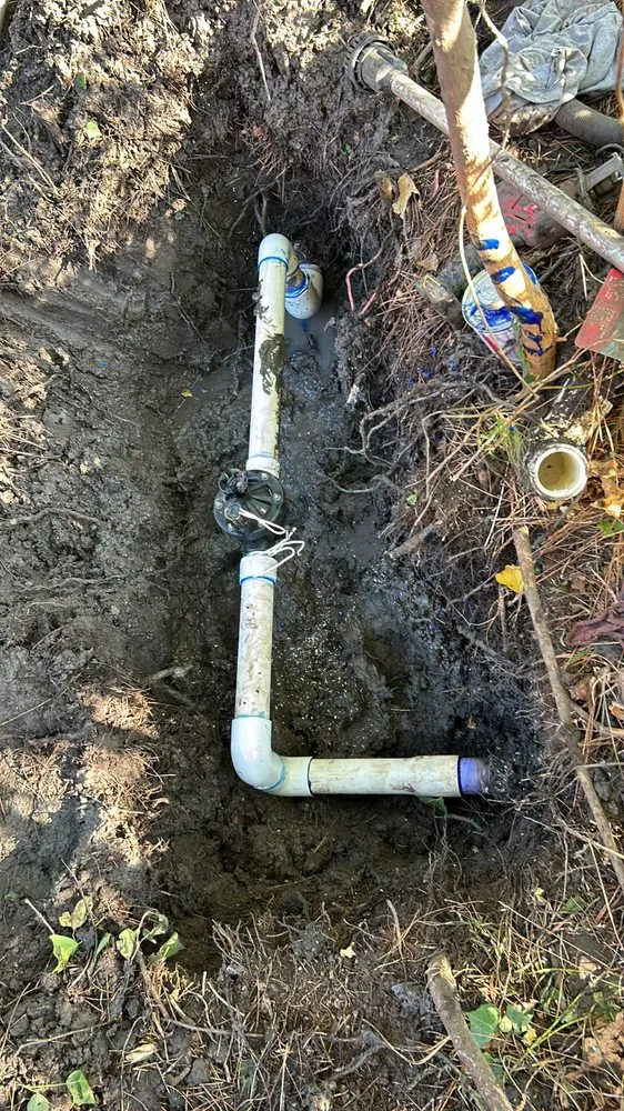 Local landscape design in Houston, TX by Escamilla Landcaping