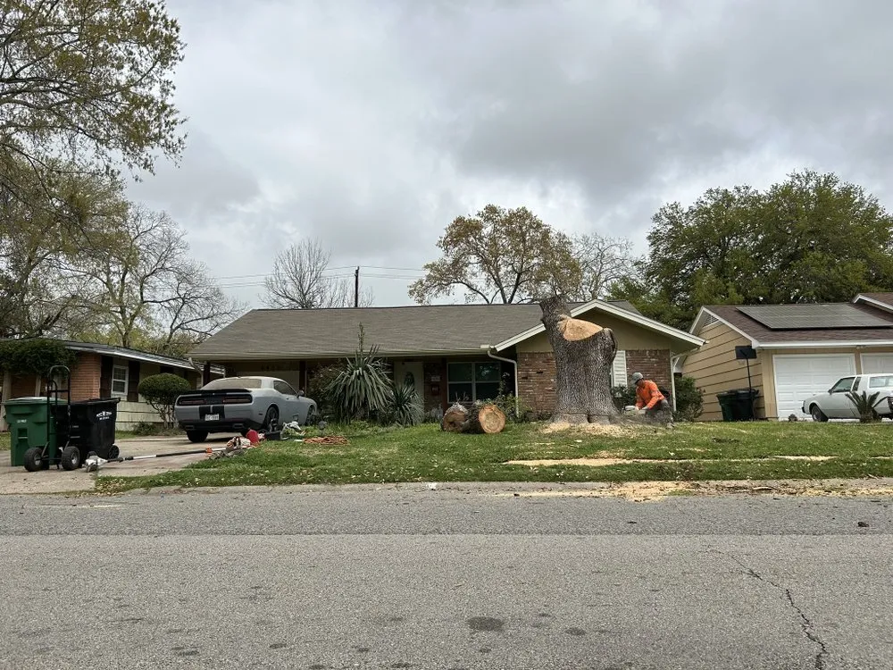 Top-rated garden landscaping for year-round maintenance across Houston, TX - Escamilla Landcaping