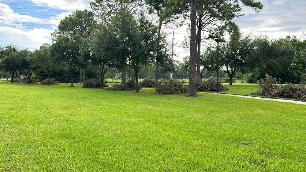 Local residential landscaping experts serving Houston, TX - Escamilla Landcaping