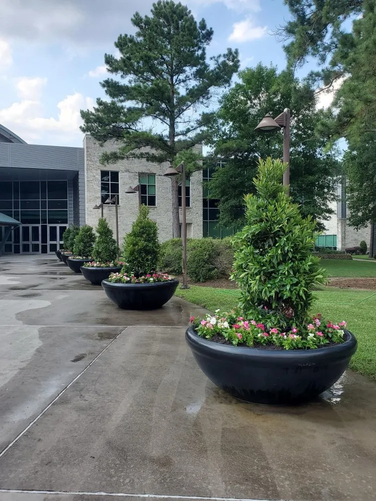 Reliable yard cleanup service for residential properties in Houston, TX by Escamilla Landcaping