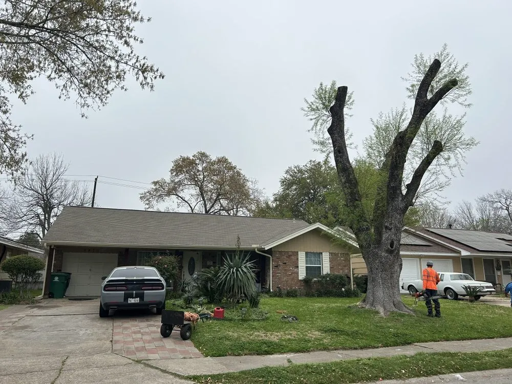 Trusted lawn mowing service for outdoor upgrades in Houston, TX by Escamilla Landcaping