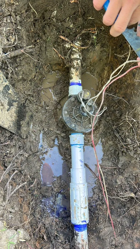 Custom yard maintenance for beautiful yards across Houston, TX - Escamilla Landcaping