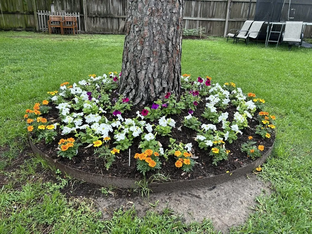 Affordable lawn care service in Houston, TX - Escamilla Landcaping