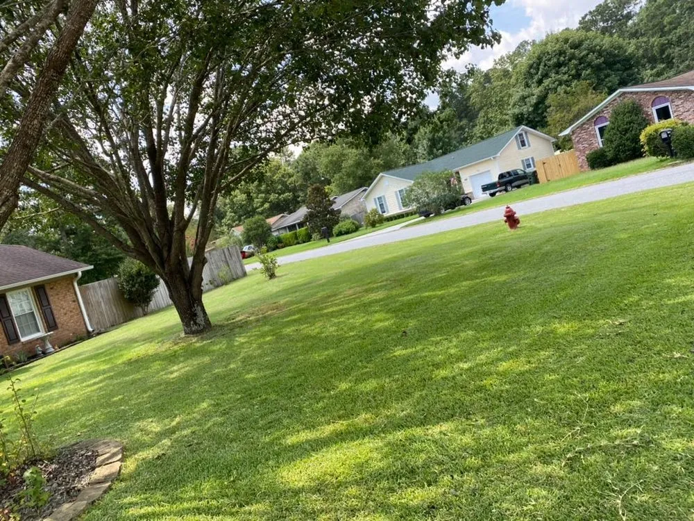 Affordable lawn mowing service with custom design in Summerville, SC by Escamilla Lawn Service