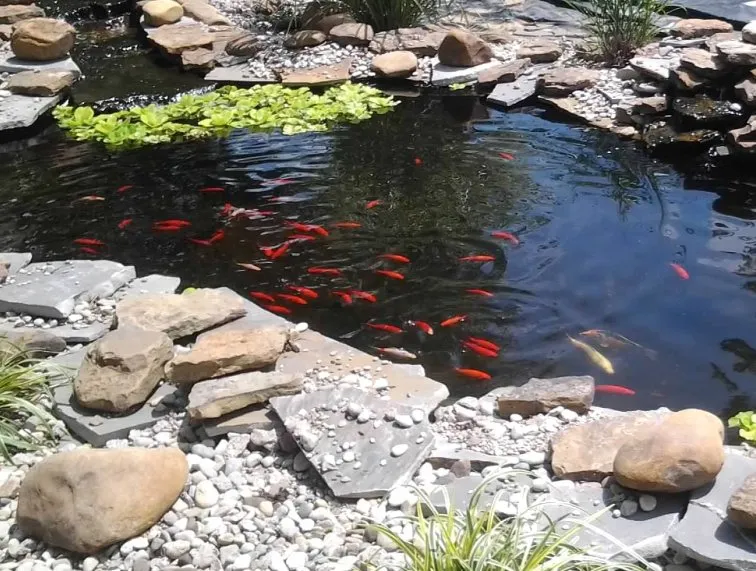 Expert lawn mowing service in Louisville, KY - Escape Landscaping