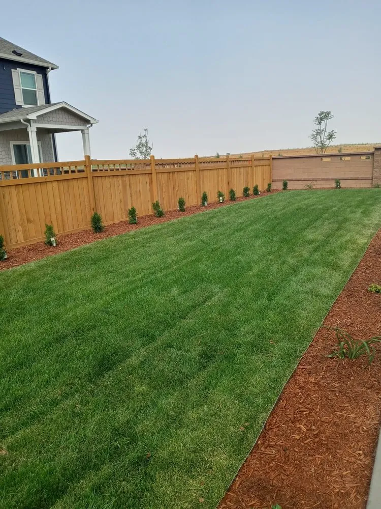 Custom lawn mowing service in Westminster, CO - Escareno Landscaping & Concrete