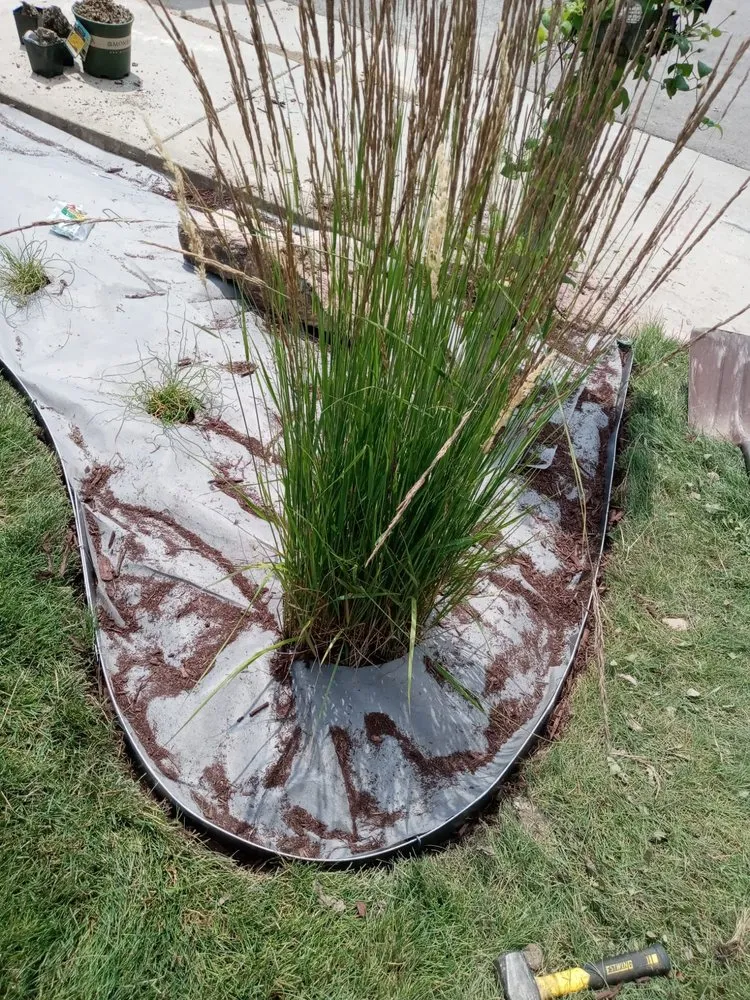 Custom lawn care service in Westminster, CO - Escareno Landscaping & Concrete