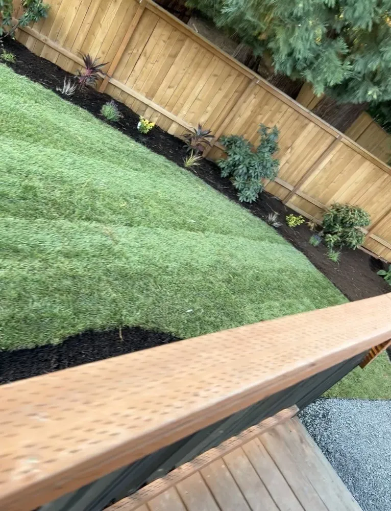 Professional yard cleanup service in Wilsonville, OR by Escobar Landscape & Irrigation