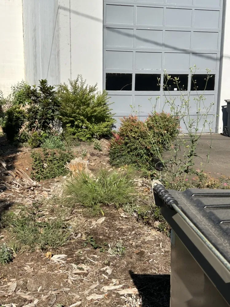 Custom yard maintenance for beautiful yards in Wilsonville, OR by Escobar Landscape & Irrigation