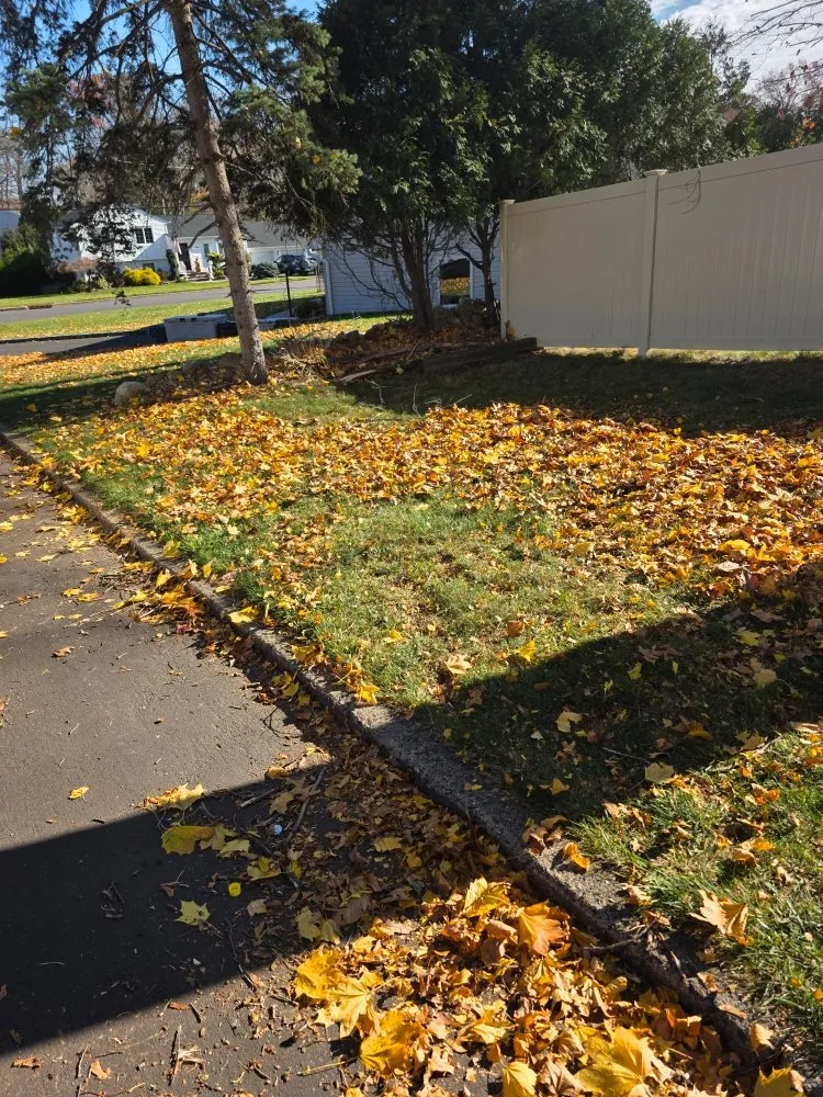 Expert lawn care service in Waldwick, NJ - Escobar Landscape