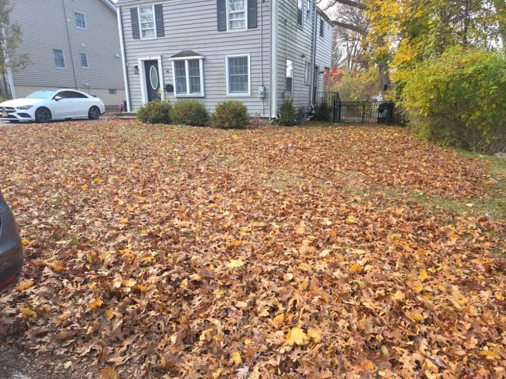 Professional outdoor landscaping experts serving Waldwick, NJ - Escobar Landscape