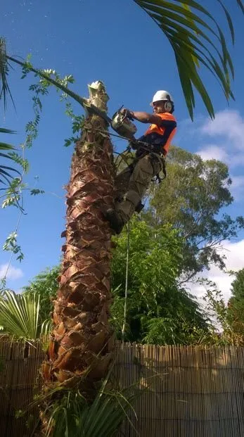 Top-rated landscape installation in Los Angeles, CA - Escobar Landscaping & More