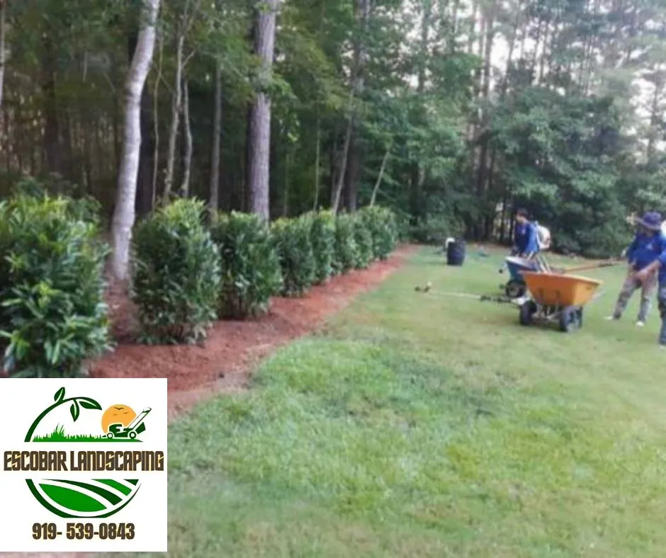 Trusted landscape design with custom design in Apex, NC by Escobar landscaping