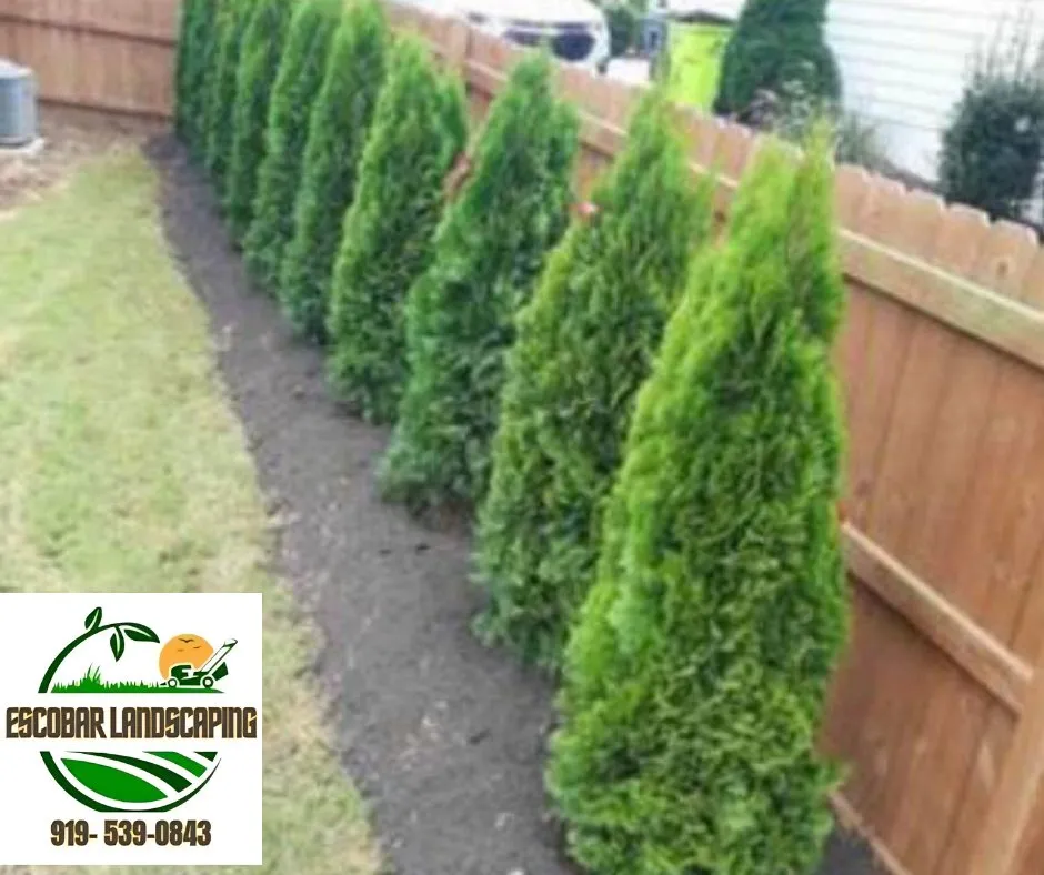 Reliable lawn care service with custom design across Apex, NC - Escobar landscaping