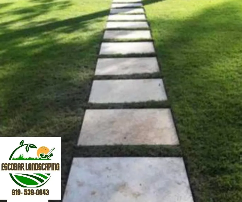 Expert yard maintenance for year-round maintenance in Apex, NC by Escobar landscaping