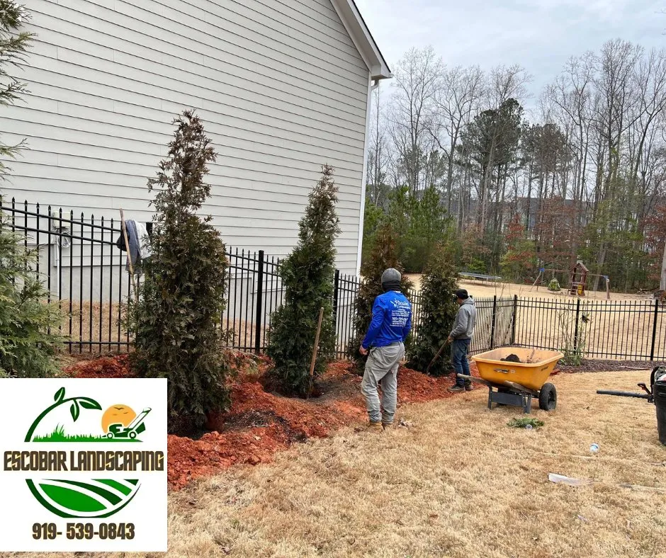 Local residential landscaping near you in Apex, NC by Escobar landscaping