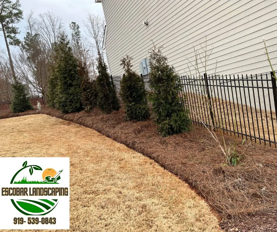 Reliable garden landscaping in Apex, NC by Escobar landscaping