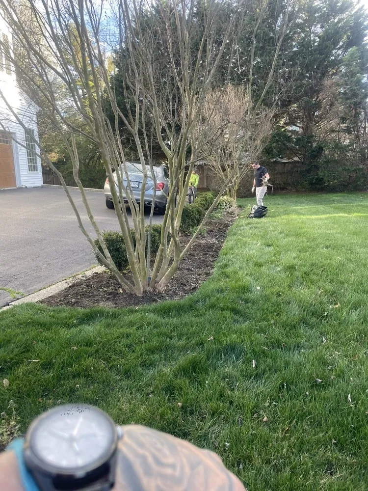 Expert lawn mowing service in Manassas, VA by Escobar Landscaping