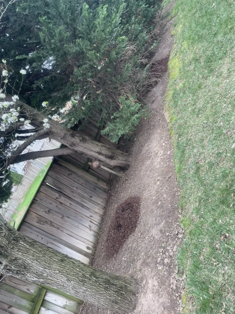 Affordable residential landscaping for homes in Manassas, VA by Escobar Landscaping