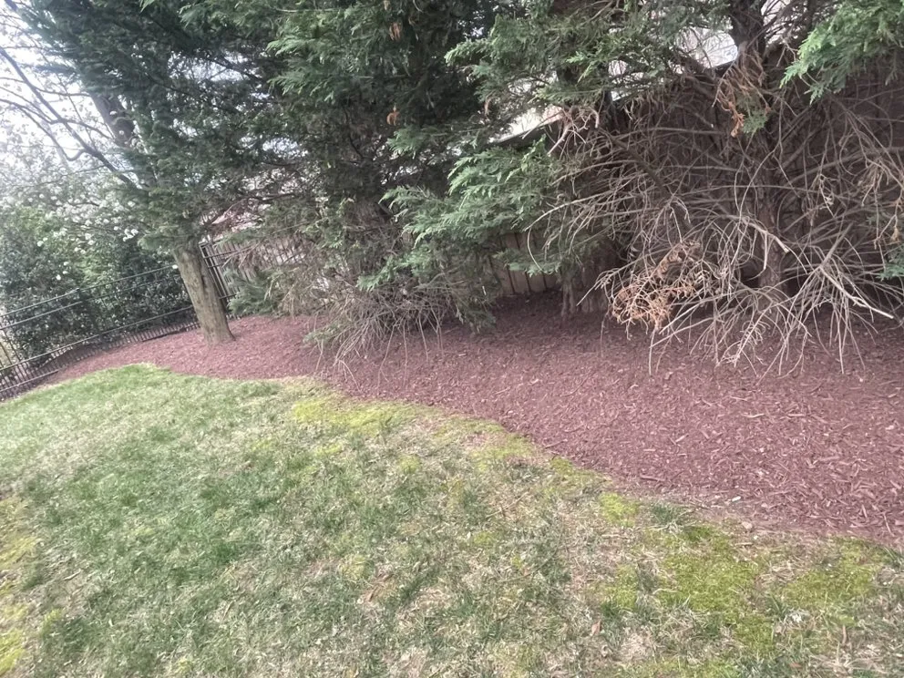 Trusted landscape design experts serving Manassas, VA - Escobar Landscaping