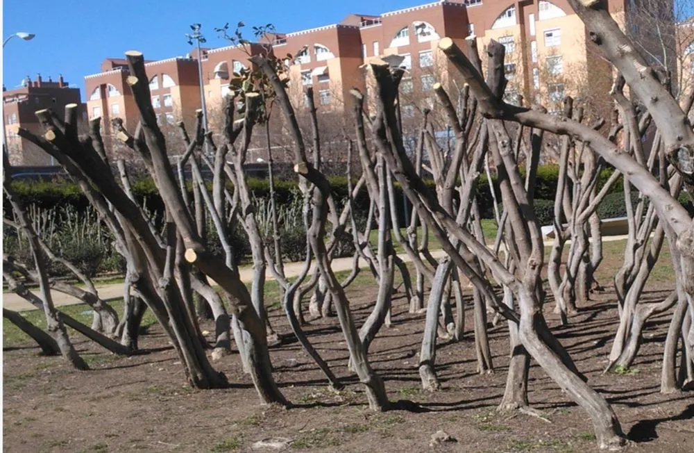 Affordable lawn mowing service for outdoor upgrades across Manassas, VA - Escobar Landscaping