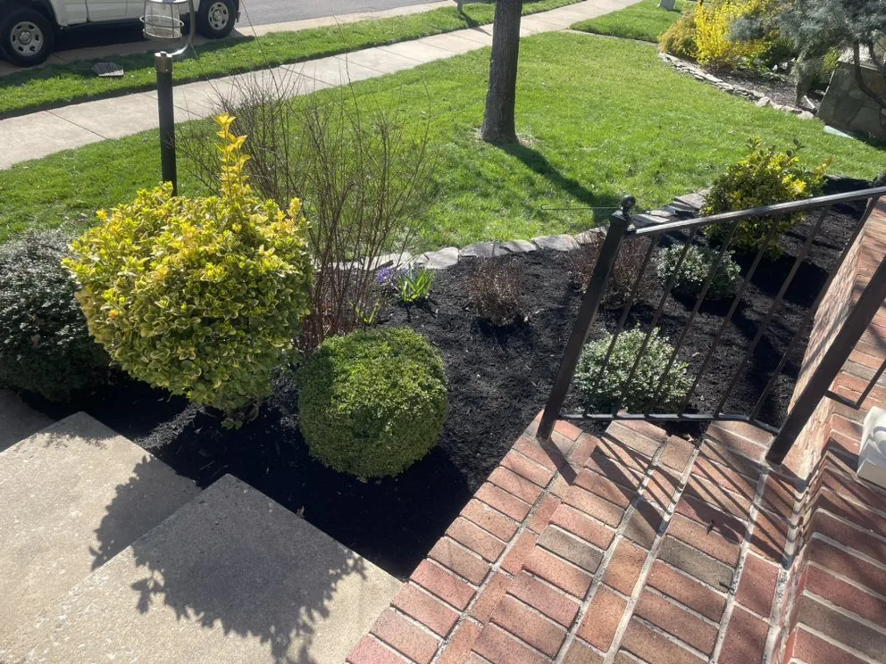 Affordable landscape design in Manassas, VA - Escobar Landscaping