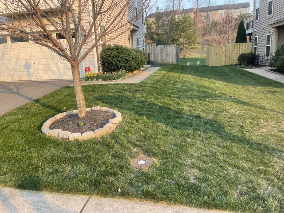 Custom landscape installation in Manassas, VA by Escobar Landscaping